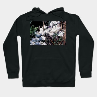 White Coastal Flowers Hoodie